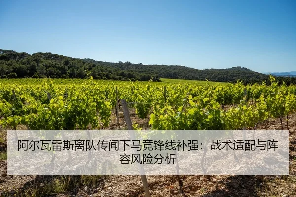 阿尔瓦雷斯离队传闻下马竞锋线补强：战术适配与阵容风险分析