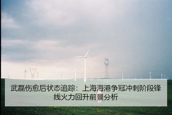 武磊伤愈后状态追踪：上海海港争冠冲刺阶段锋线火力回升前景分析