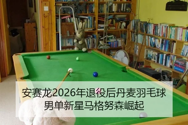 安赛龙2026年退役后丹麦羽毛球男单新星马格努森崛起