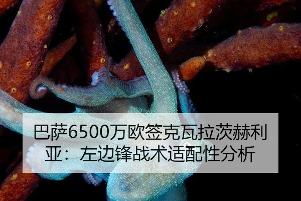 巴萨6500万欧签克瓦拉茨赫利亚：左边锋战术适配性分析
